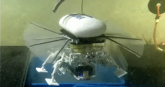 10164850800132401903.gif