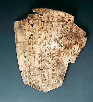 OIP-C (2).jpg